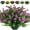 Fuchsia, variant on Morttic 6 Pcs Artificial Flowers, Outdoor UV Resistant Fake Plants Faux Greenery Shrubs Plastic Flowers for Indoor Outside Home Garden Wedding Office Decor(Fuchsia)