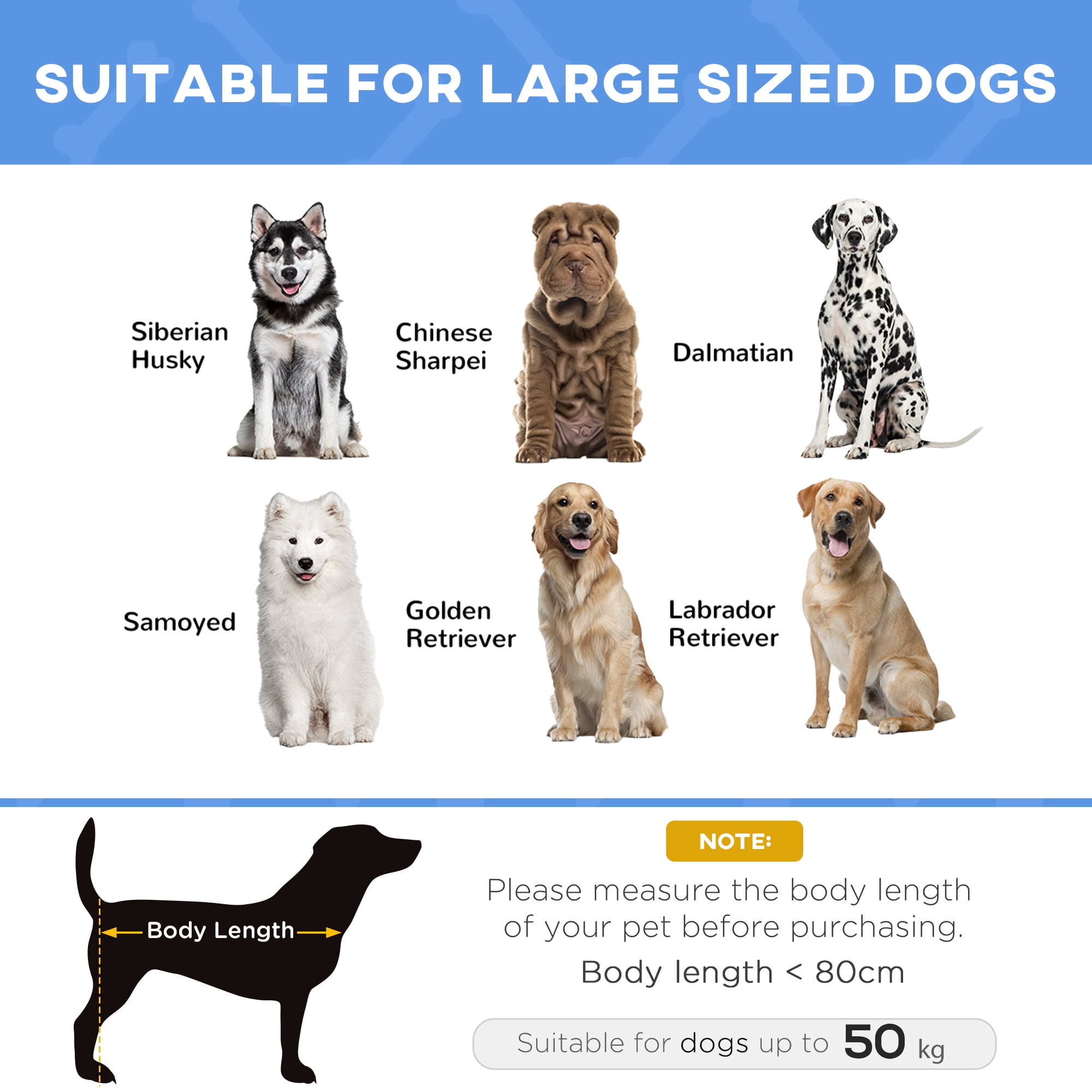 Elevated Breathable Dog Bed Portable Pet Cot w/ Carry Bag Metal Frame Breathable Mesh Indoor and Outdoor