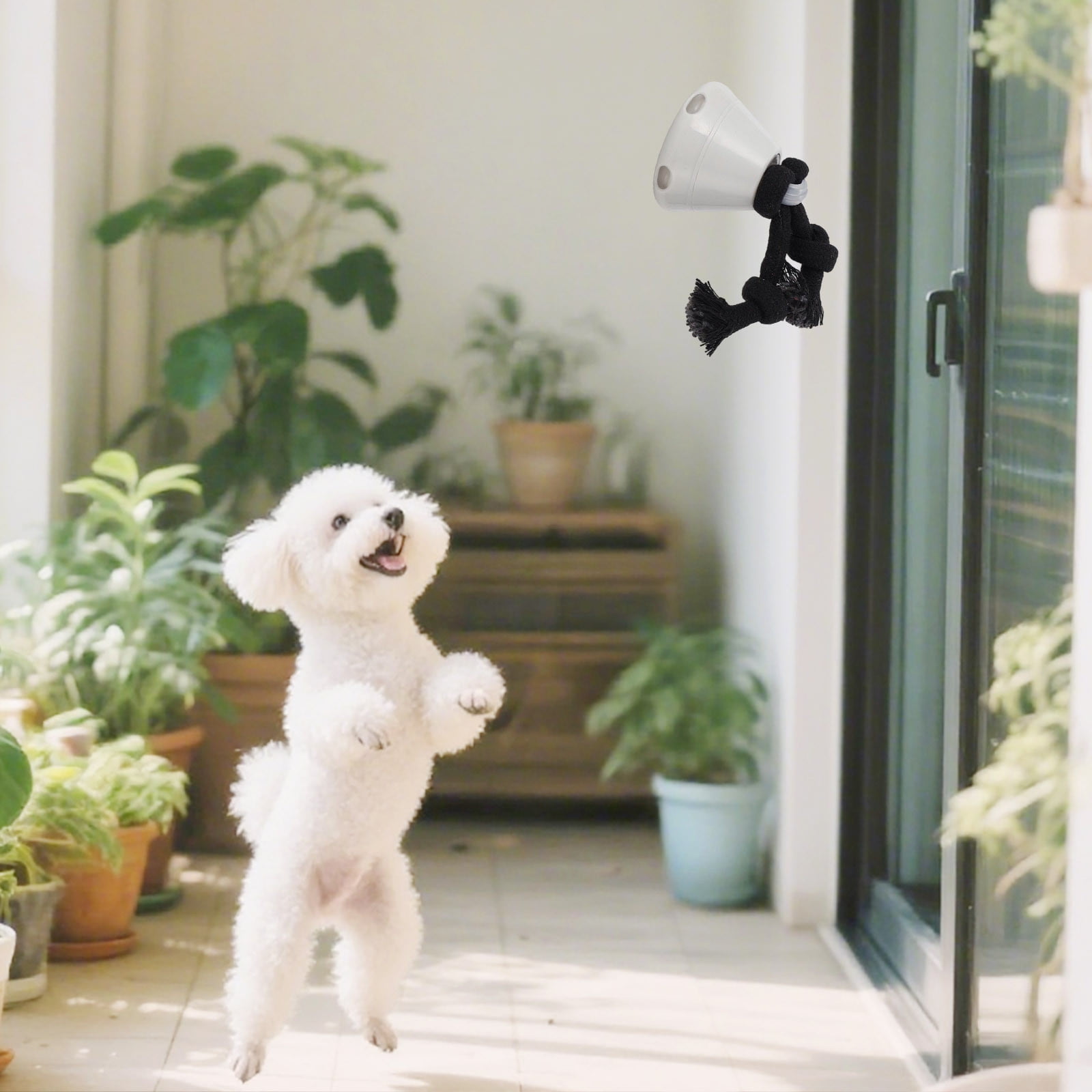 Interactive Motion Activated Pet Toy Rechargeable Rolling With LED Light For Dogs And Cats Indoor Activity Entertainment