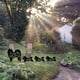 thumbnail image 4 of 4 piezas de decoración artística para perros, silueta de perro, estaca de jardín, acrílico negro, cachorro, inserto de suelo para césped, mansión, jardín, 4 of 5