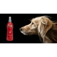 thumbnail image 3 of CHI Detangling Finishing Spray for Dogs, Smoothes Fur & Loosens Knots, 10 oz, 3 of 5