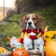 thumbnail image 4 of 4 Uds. Decoración para mascotas de Halloween, suministros para mascotas, pajarita para Halloween, Collar, pajarita para perro y gato, decoración, 4 of 5