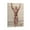 Frame-style, variant on Sergio Oliva Poster Bodybuilder Art Print Photo Art Painting Canvas Poster Home Decorative Bedroom Modern Decor Posters Gifts 20x30inch(50x75cm)