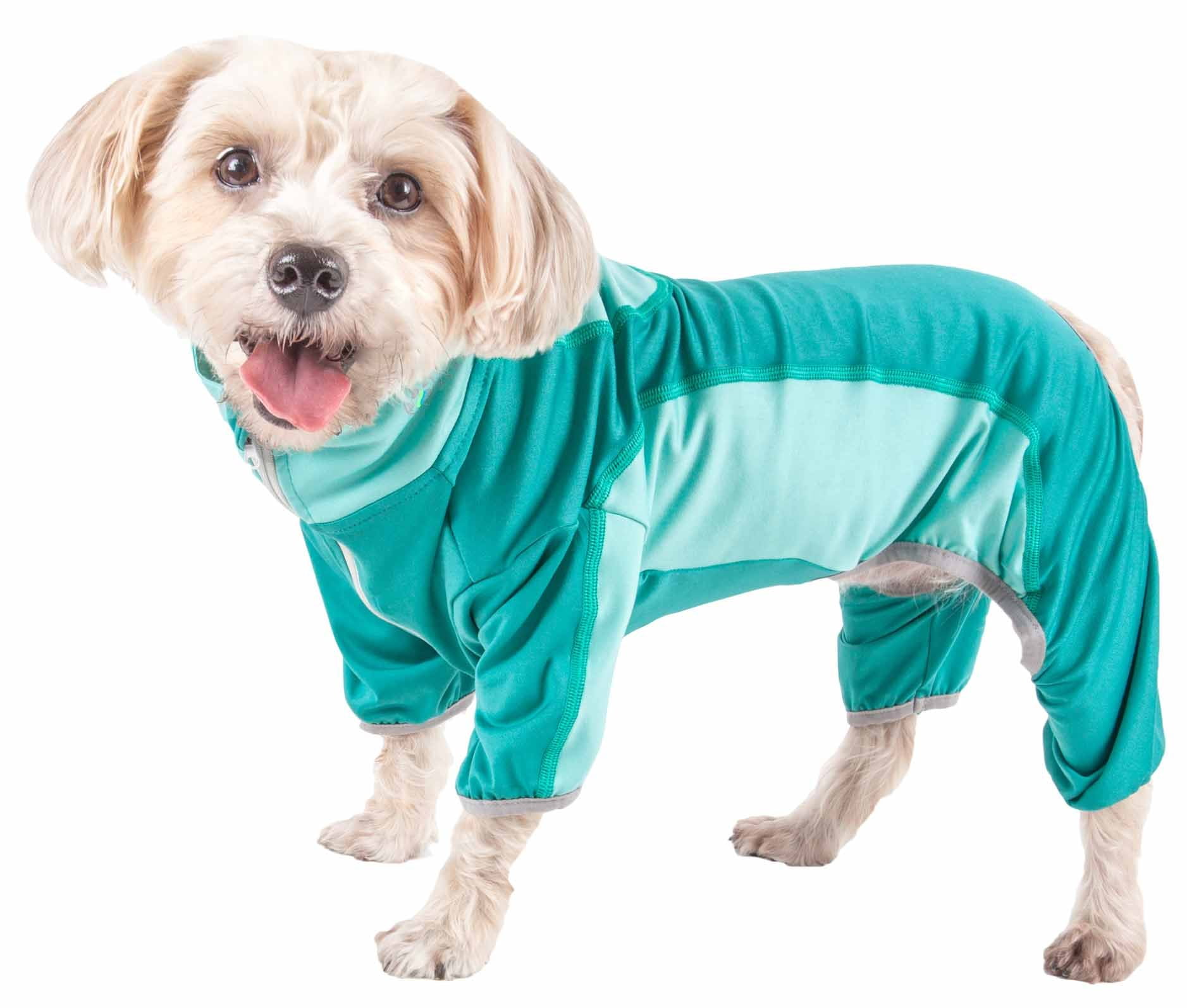 dog green tracksuit