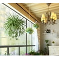 thumbnail image 2 of 2PCS Artificial Hanging Plants Fake Spider Plants Fake Silk Chlorophytum Wall Hanging Plants for Wall Indoor Outdoor Decor, 2 of 8