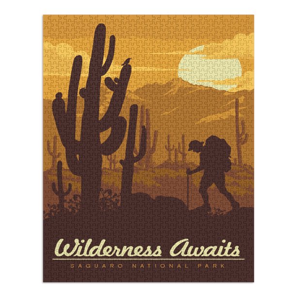 Saguaro National Park, Arizona, Wilderness Awaits, Vector Backpacker