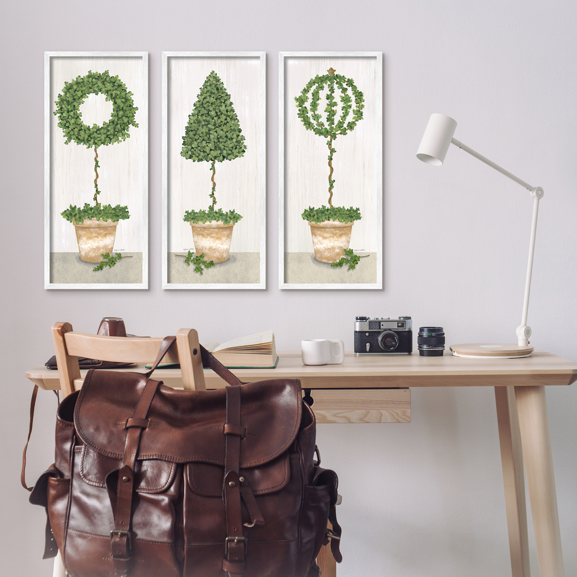 Stupell Industries Potted Topiary Plants Rustic Gardening Botanicals Graphic Art White Framed Art Print Wall Art, Set of 3, Design by Annie LaPoint