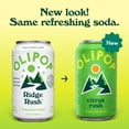 thumbnail image 2 of Olipop Prebiotic Soda, Beverages w/ Prebiotics, Botanicals & Plant Fiber, Ridge Rush, 12 Oz (4 Pack), 2 of 10