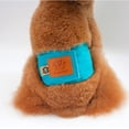 thumbnail image 4 of Couches Réutilisables pour Chiens, Hygiéniques, pour Chiens Mâles (S), 4 of 4