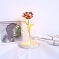 thumbnail image 2 of Abbracc shamjina Rose Lamp Lights,LED Eternal Roses For Wedding Anniversary Red, 2 of 9