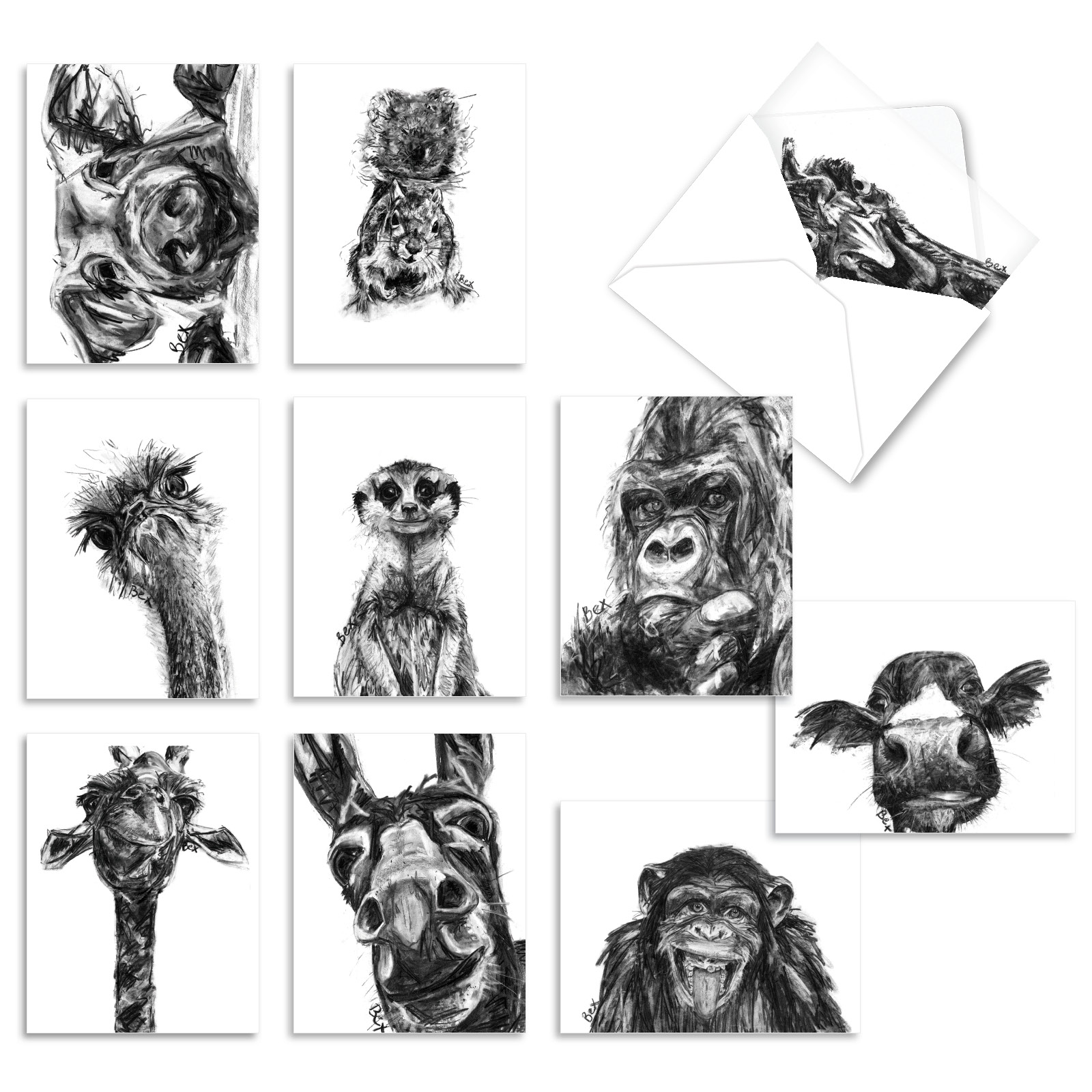 10 Pack All Occasion Blank Note Cards Charcoal Animals