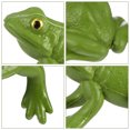 thumbnail image 2 of 1pc Frog Figurine Realista Frog Modelo Enseñanza educativa Propor PROP NIÑO JUEGO HOMEMAXS 15863749, 2 of 7