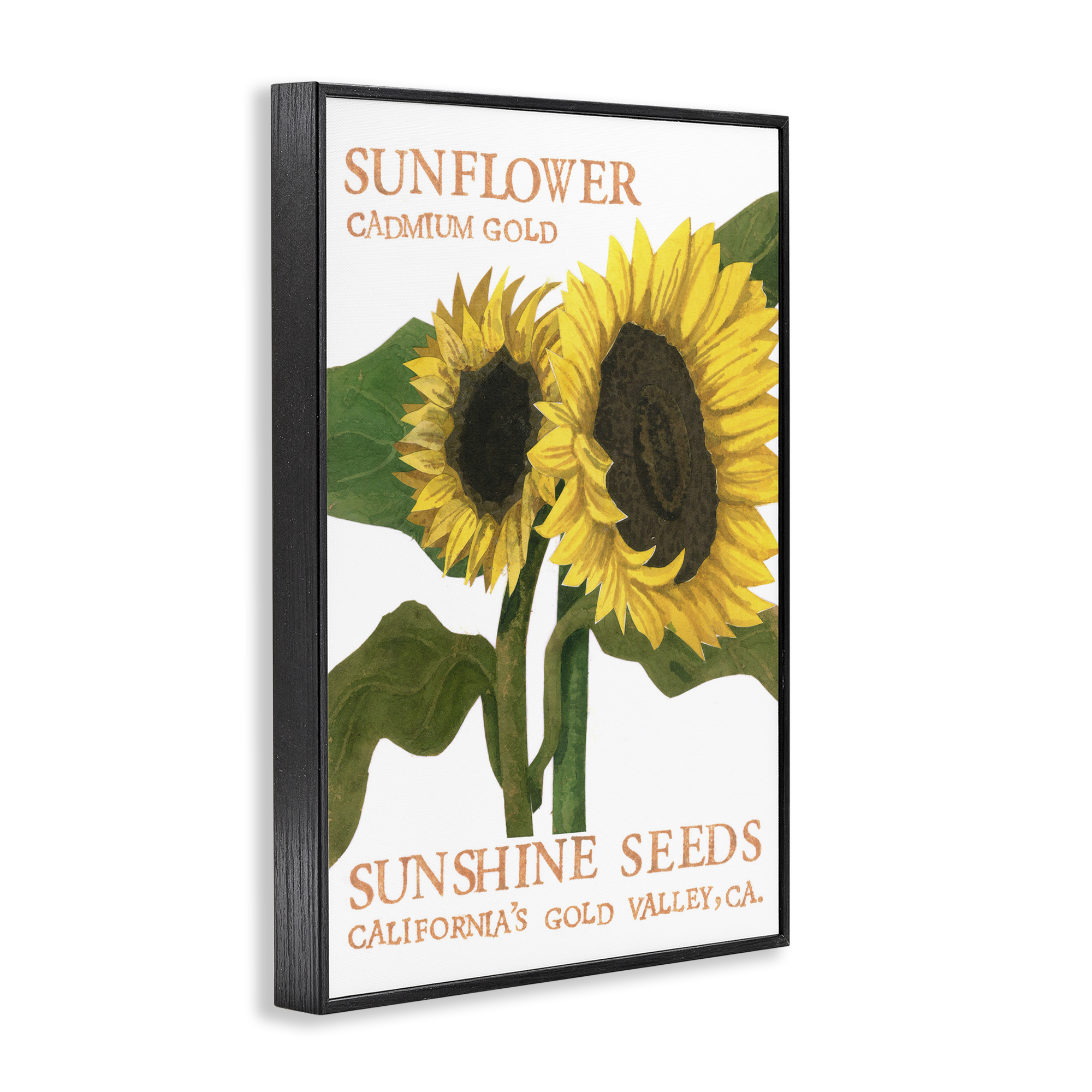 Stupell Industries Sunflower Seeds Design Typography Painting Black Framed Art Print Wall Art, 20 x 30