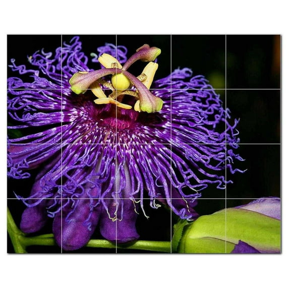 Flower Photo Ceramic Tile Mural Kitchen Backsplash Bathroom Shower, 404913-L54