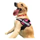 thumbnail image 1 of Arnes Para Perros Razas Grandes Personalizados Uso Rudo, 1 of 4