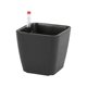 thumbnail image 1 of Maceta de plástico autorriego con indicador de nivel de agua, 5,1 pulgadas de alto Negro, 1 of 9