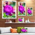 thumbnail image 3 of Peinture de Rose Aquarelle Violette - Impression sur Toile Florale, 3 of 4