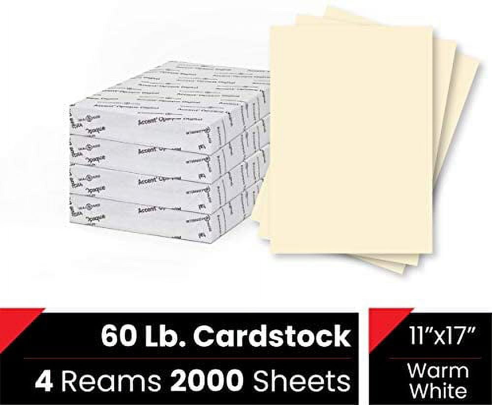 Accent Opaque Cream Printer Paper, 11” x 17” 28lb Copy Paper – 500 Sheets (1 Ream) – Premium Computer Paper with Smooth Finish, 97 Bright, 104gsm, Multipurpose Warm White Copy Paper – 188125R