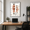 DailyMood Muscle Anatomy Poster, Posterior Chain Exercise and Muscle ...