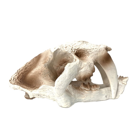 Delicate Artificial Hallowed Dinosaur Cave Terrarium Hideouts Shrimp Hideouts Statue Aquarium Habitat Decors