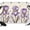 beige, variant on 7x5ft Photo Backdrop, Purple Iris Soft Polyester Backdrop Curtains Photography Backdrops, Spring Vintage Butterfly Leaves Flowers Beige Brushed Background for Photoshoots Studio Portrait Parties