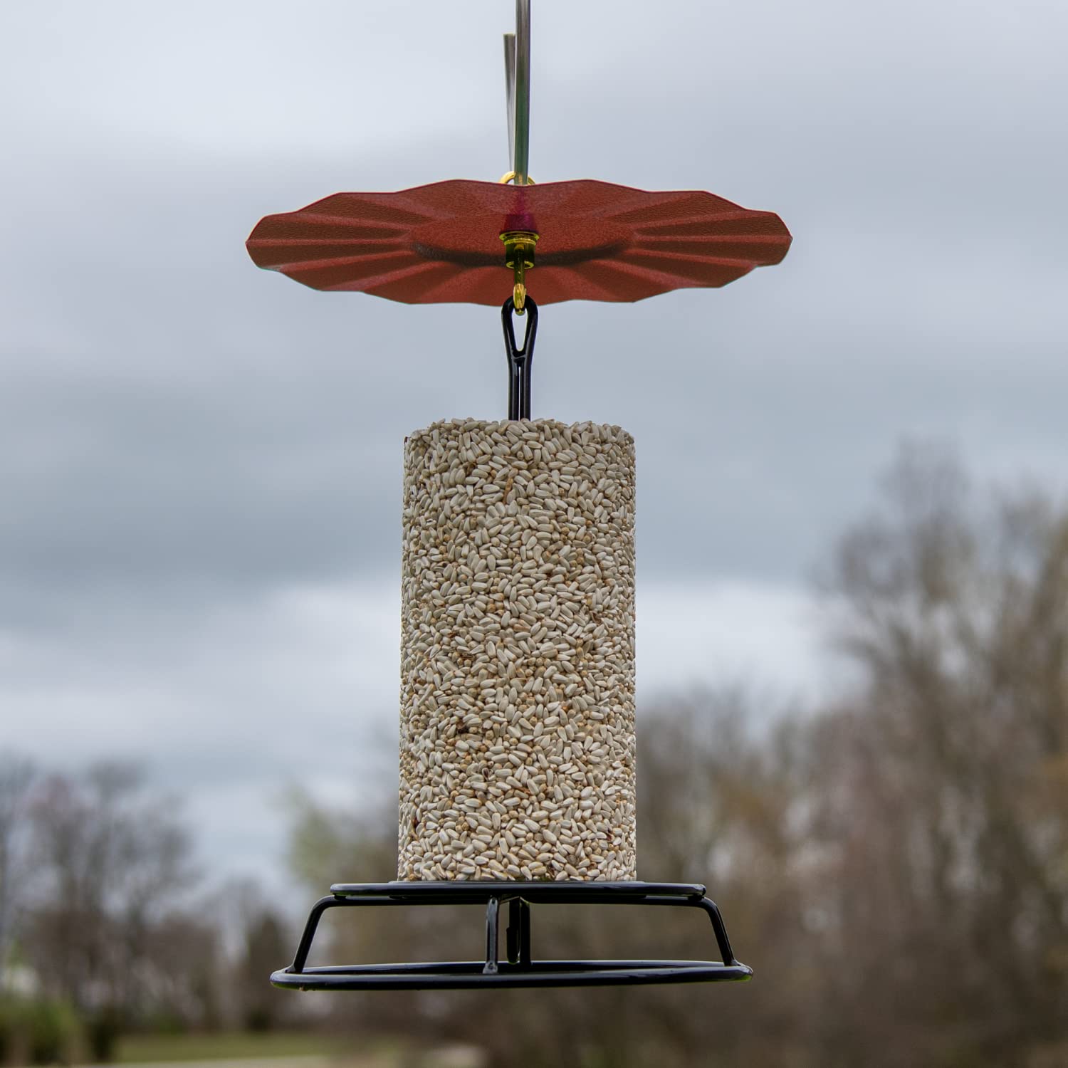 JCs Wildlife 9.5" Metal Rain Guard and Bird Seed Cylinder Feeder Kit - Protect Your Bird Food from Rain and Overhead Messes! (Red)
