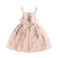 thumbnail image 3 of JoyHoop Toddler Baby Girl Dress Sleeveless Floral Embroidery Tulle A-Line Dress Sweet Princess Dress, 3 of 10