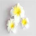 thumbnail image 2 of Dicasser 3pcs Frangipani Hairpin Bride Child Photo Seaside Vacation Bohemian Style Hairpin Blue, 2 of 5
