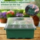 thumbnail image 4 of Bandeja De Plántulas De 12 Orificios Bandeja De Inicio De Semillas Bandejas De Cultivo De Invernadero Kit De Inicio De Plantas Ajustable De Humedad Con Cúpula Y Base Yuarrent HA034542-00, 4 of 6