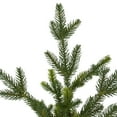 thumbnail image 4 of Northlight Real Touch™️ Potted Noble Pine Slim Artificial Christmas Tree - 4' - Unlit, 4 of 8