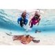 thumbnail image 3 of Snorkel SCUBAPRO Spectra Dry con válvula de purga, transparente y blanco, 3 of 6