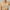 19-Beige, variant on YWDJ Bras for Women Push up Pullover Workout Bras Wirefree Gym Bras Wide Strap Full Coverage Bras Low Support Seamless Bras Padded Plus Size Bras Layer Double Lined Wrap Solid Bras Beige 3XL
