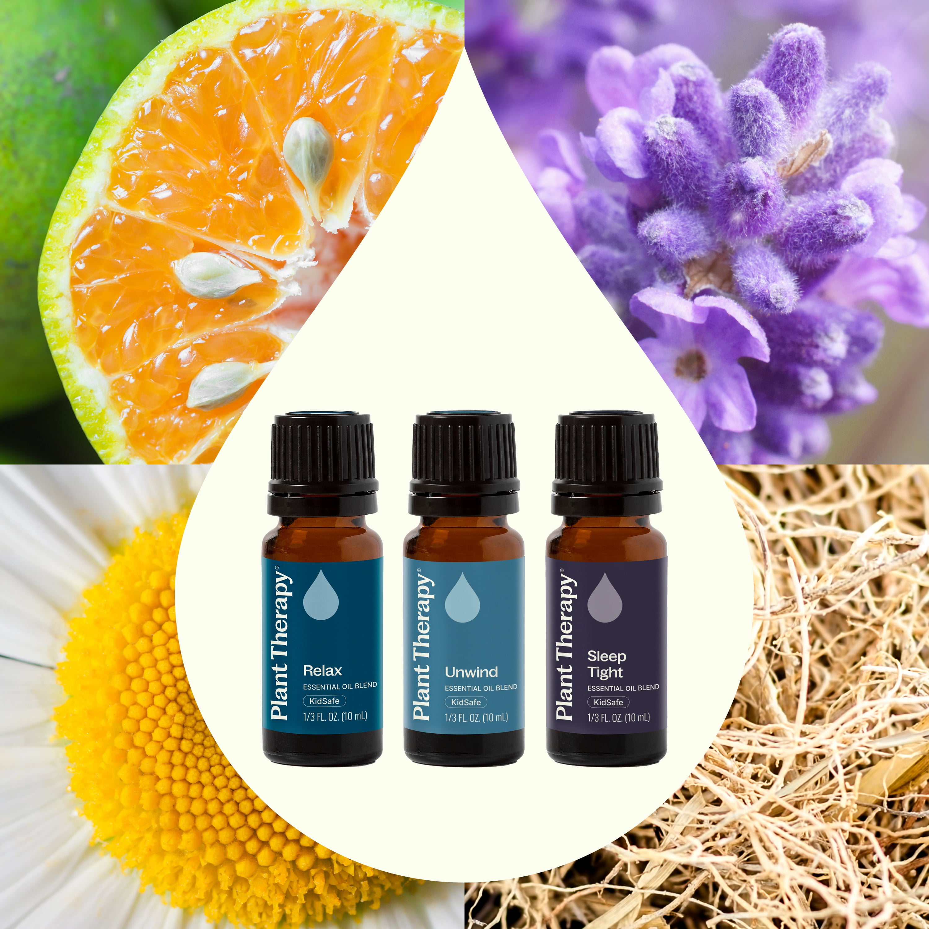 Plant Therapy Sleep Easy Essential Oil Blend Set 10 mL (1/3 oz) each of Relax, Sleep Tight & Unwind, Pure, Undiluted, Essential Oil Blends