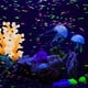thumbnail image 4 of Paquete de corales con efecto de brillo, decoraciones de plantas de coral, decoración de coral de acuario para decoración de acuario de pecera Ormromra 220792-2, 4 of 8