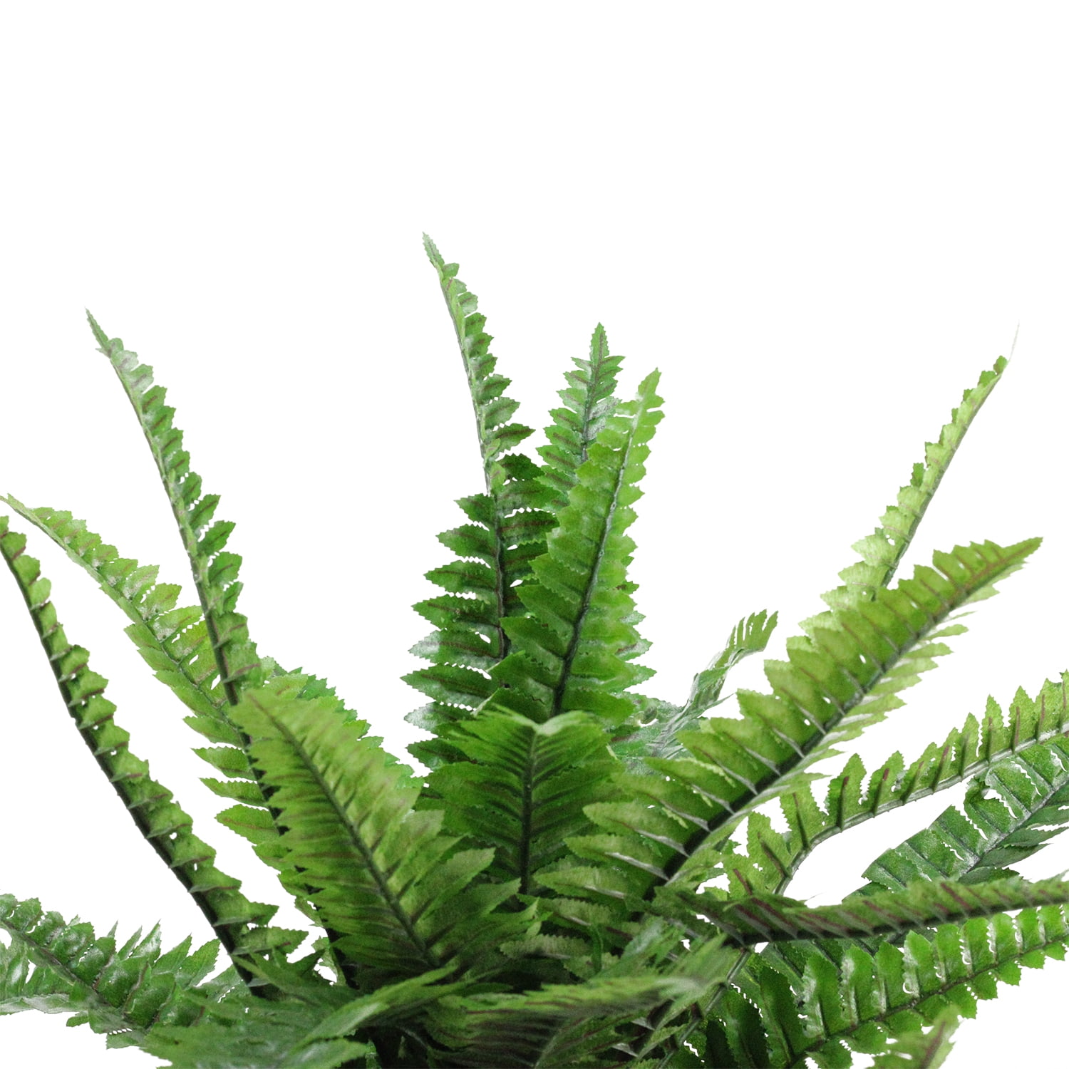 17.5" Potted Artificial Tall Green Boston Fern Plant