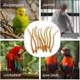 thumbnail image 5 of KAKOWELY 10Pcs Parakeet Standing Rack Universal Parrot Perches Indoor Bird Cage Stand,9.45"X1.18"X1.18", 5 of 5