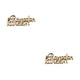 thumbnail image 4 of Wosthever Paquete de 45 delicados adornos de letras de madera, carteles sin terminar, artesanías para álbumes de recortes, suministros para JM01340 2piezas, 4 of 6