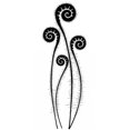 thumbnail image 1 of Lavinia Tampon - Têtes de Fougère, 1 of 1