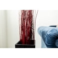 thumbnail image 4 of Green Floral Craft | 90-100 Stem Dried Asian Willow Decorative Branches 4-5 Feet Tall Floor Vase Filler (Wine Red), 4 of 5