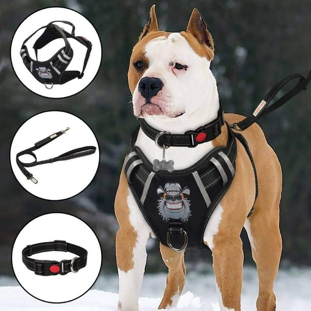 Dog chest collar cheap