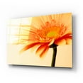 thumbnail image 2 of Epic Art 'Orange Flower on Orange' by Tom Quartermaine, Acrylic Glass Wall Art, 24"x16", 2 of 8