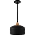 thumbnail image 1 of Yosemite BF28117 Home Decor Pendant Ceiling Light Fixtures - Black, 1 of 1