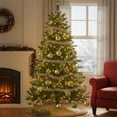 thumbnail image 3 of Northlight Shatterproof 4-Finish Christmas Ball Ornaments 3.25" (80mm) - Kiwi Green - 32ct, 3 of 4