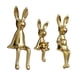 thumbnail image 4 of 3x Estatuas Familia Conejito Figura Cerámica Figuras Animales Adorno Coleccionable para Oro, 4 of 9