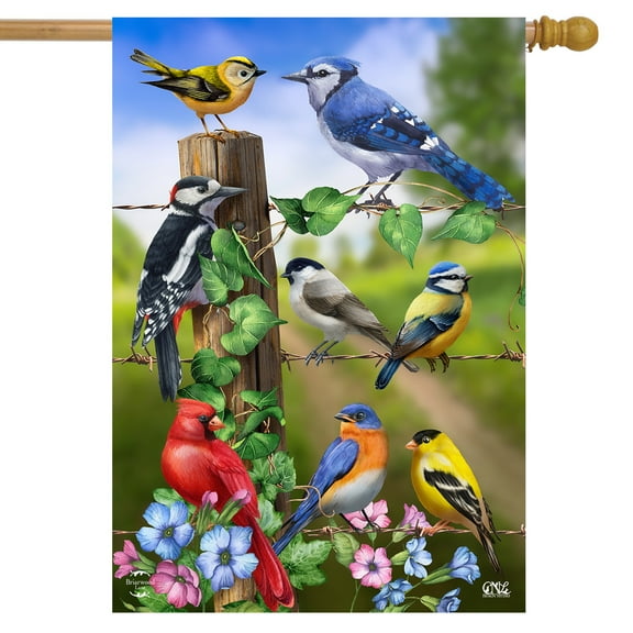 Briarwood Lane Country Birds Spring House Flag