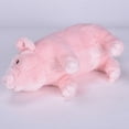 thumbnail image 3 of Juguete de peluche CUTICAT cerdo para decoración de escritorio, 3 of 6