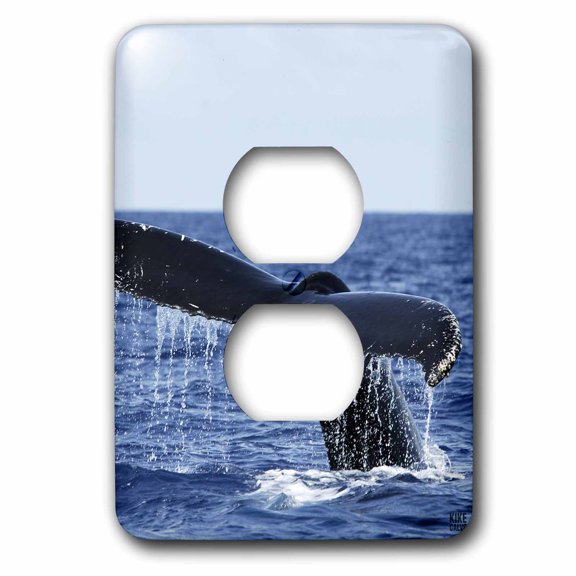3dRose, Humpback Whale , 2 plug outlet cover