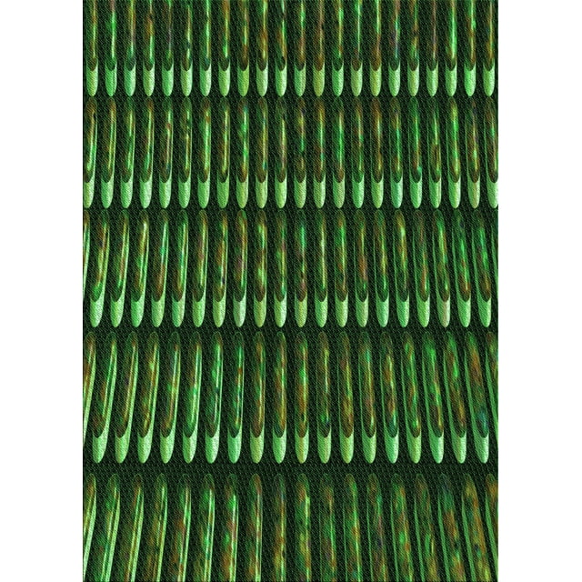 Ahgly Company Tapis d'Intérieur Lavables en Machine Rectangle Transition Vert Lime Foncé, 7' x 9'