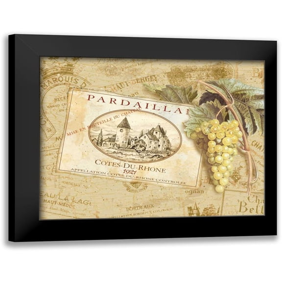 Gladding, Pamela 14x12 Black Modern Framed Museum Art Print Titled - Pardaillan