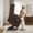 Brown, Large, variant on MCombo Large Power Lift Recliner Chair with Extended Footrest for 5'7"-6'2" Elderly People, Fabric, Brown